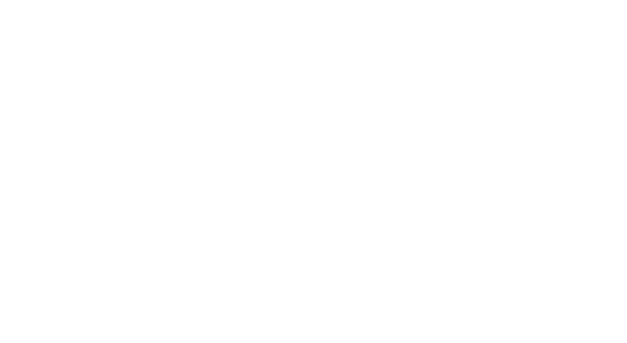 WOW PRO